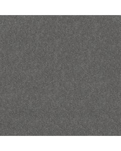 Shaw ATTAINABLE Slate Carpet - SH-E9965-501S