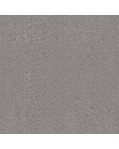Shaw ATTAINABLE Sterling Carpet - SH-E9965-520T