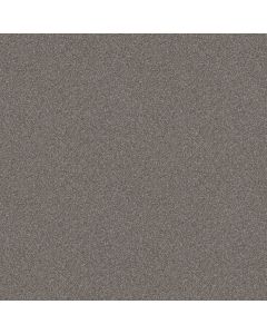 Shaw ATTAINABLE Arctic Shadow Carpet - SH-E9965-521T