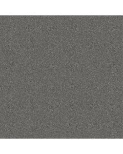 Shaw ATTAINABLE Hearthstone Carpet - SH-E9965-522T