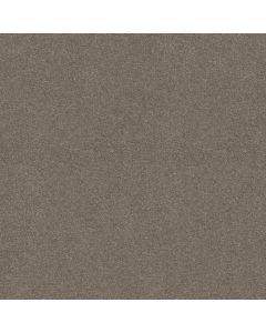 Shaw ATTAINABLE Smooth Taupe Carpet - SH-E9965-700S
