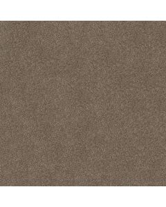 Shaw ATTAINABLE Fox Hollow Carpet - SH-E9965-722T