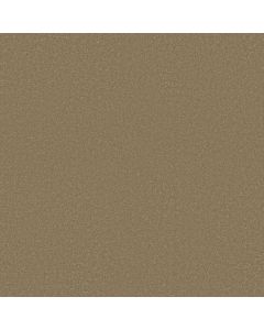 Shaw CORNER CAFE 15' Sahara Carpet - SH-EA038-00205