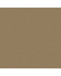Shaw OCEAN PINES 12' Reed Carpet - SH-EA041-00201