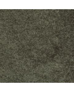 Shaw DREXEL HILL I 15 Garden Grove Carpet - SH-EA051-00301