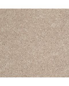 Shaw DREXEL HILL III 12' Flax Seed Carpet - SH-EA055-00103