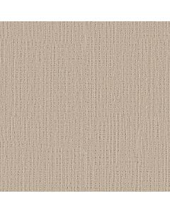Shaw SWEET MEMORIES Sun Bleached Carpet - SH-EA098-00110
