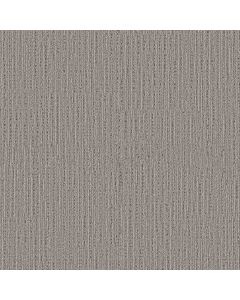 Shaw SWEET MEMORIES Essential Gray Carpet - SH-EA098-00504
