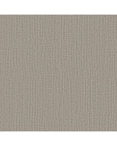 Shaw SWEET MEMORIES Warm Taupe Carpet - SH-EA098-00505