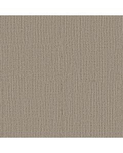 Shaw SWEET MEMORIES Natural Sisal Carpet - SH-EA098-00705