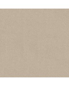 Shaw NEW MEMORIES T Dune View Carpet - SH-EA100-00120