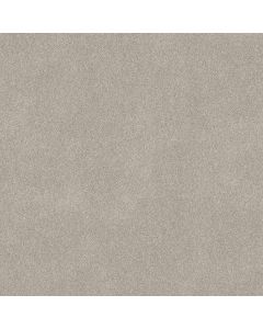 Shaw NEW MEMORIES T Beige Mist Carpet - SH-EA100-00121