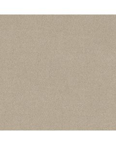 Shaw NEW MEMORIES T Cafe Latte Carpet - SH-EA100-00122