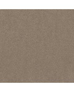 Shaw NEW MEMORIES T Stonecrest Carpet - SH-EA100-00123