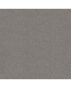 Shaw NEW MEMORIES T Graphic Carpet - SH-EA100-00522