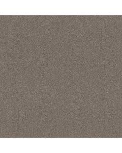 Shaw NEW MEMORIES T Shadows Carpet - SH-EA100-00524