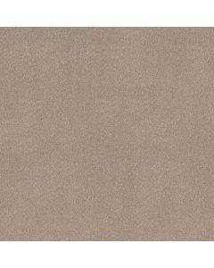 Shaw NEW MEMORIES T Baja Carpet - SH-EA100-00720