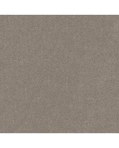 Shaw NEW MEMORIES T Mocha Carpet - SH-EA100-00721