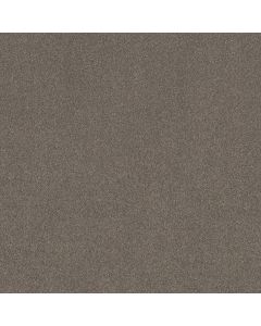 Shaw NEW MEMORIES T Hideaway Carpet - SH-EA100-00722