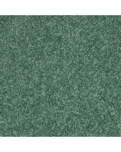 Shaw KIDS RULE Leap Frog Carpet - SH-EA128-00331
