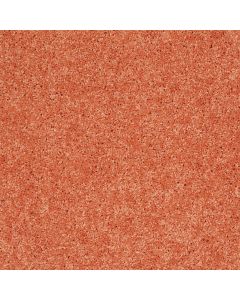 Shaw KIDS RULE Tangerine Twist Carpet - SH-EA128-00630