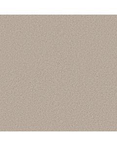 Shaw DYNAMIC WORLD 12 (S) Angel Wing Carpet - SH-EA143-00100
