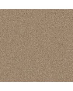 Shaw DYNAMIC WORLD 12 (S) Studio Carpet - SH-EA143-00104