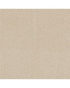 Shaw LOYAL BEAUTY I China Pearl Carpet - SH-EA162-00100