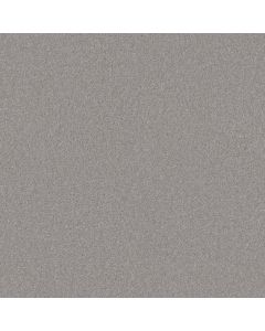 Shaw LOYAL BEAUTY I Sheer Silver Carpet - SH-EA162-00500