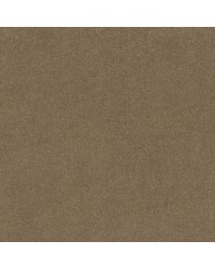 Shaw LOYAL BEAUTY I Twig Carpet - SH-EA162-00702