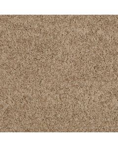 Shaw LOYAL BEAUTY II Twig Carpet - SH-EA163-00702