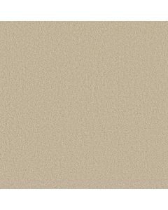Shaw LOYAL BEAUTY III Pale Cream Carpet - SH-EA164-00121