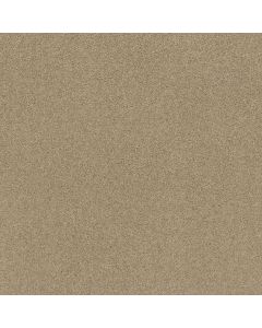 Shaw SOURCE Wool Skein Carpet - SH-EA496-00111