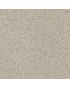Shaw SOURCE Mist Carpet - SH-EA496-00112