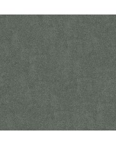 Shaw SOURCE Refreshing Carpet - SH-EA496-00412