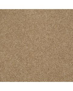 Shaw SOURCE Natural Wood Carpet - SH-EA496-00701
