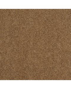 Shaw SOURCE Leather Bound Carpet - SH-EA496-00702