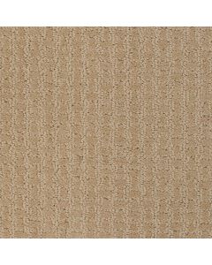 Shaw KICK OFF Fieldstone Carpet - SH-EA501-00105