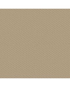Shaw EXCEL Dunes Carpet - SH-EA502-00102