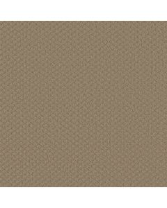 Shaw EXCEL Mushroom Carpet - SH-EA502-00703