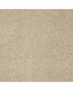 Shaw INSPIRING Field Stone Carpet - SH-EA508-00105