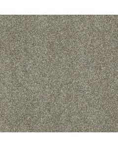 Shaw INSPIRING Silver Sage Carpet - SH-EA508-00310
