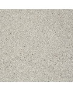 Shaw INSPIRING Cold Water Carpet - SH-EA508-00510