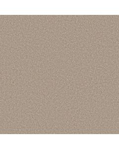 Shaw TURN THE PAGE II 12' Ecru Carpet - SH-EA524-00103
