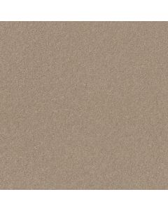 Shaw TURN THE PAGE II 12' Almond Bark Carpet - SH-EA524-00106
