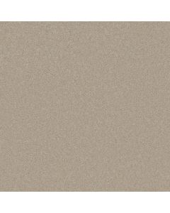 Shaw TURN THE PAGE I 15' Ecru Carpet - SH-EA528-00103