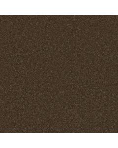 Shaw TURN THE PAGE II 15' Briar Patch Carpet - SH-EA529-00703