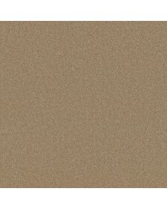 Shaw MY INSPIRATION I Taffeta Carpet - SH-EA559-00107