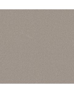Shaw MY INSPIRATION I Natural Carpet - SH-EA559-00153