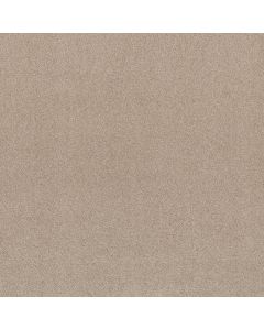 Shaw MY INSPIRATION II Bare Essence Carpet - SH-EA560-00151